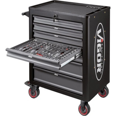 VIGOR 262 ks V4219