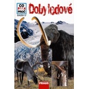 Doby Ledové
