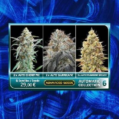 Advanced Seeds Automatic Collection #6 semena neobsahují THC 6 ks