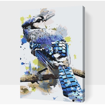 Vymalujsisam.cz Malování podle čísel Sojka chocholatá