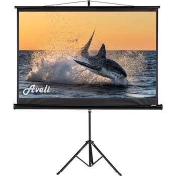 AVELI 150x94cm 16:10 70" XRT-00110B