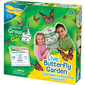 Insect Lore Motýlí zahrádka 3 5 housenek Butterfly Garden