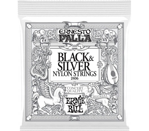Ernie Ball 2406