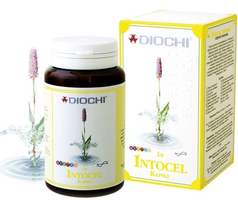 Diochi Intocel kapsle 90 kapsúl