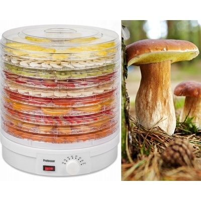 Professor SP4410 – Zboží Mobilmania