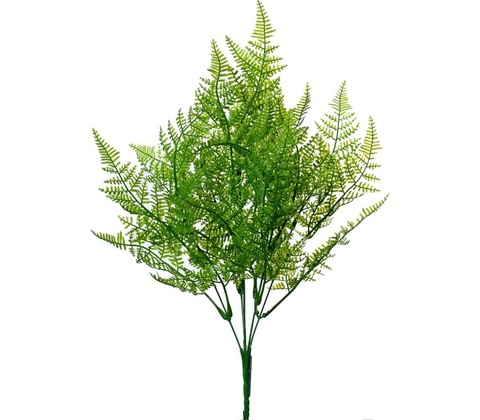 ZÁPICH PAPRAĎ 40CM