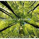 Relaxing Classics LP