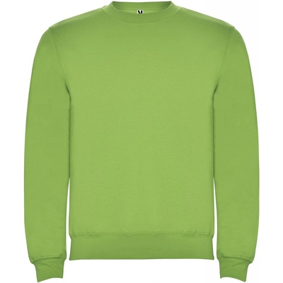 Clasica unisex s výstrihom crewneck zelená Oasis