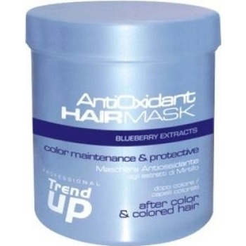 Trend up maska na barvené vlasy AntiOxidant 1000 ml