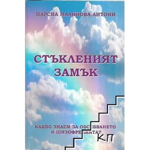 Стъкленият замък (ISBN: 9786191681662)