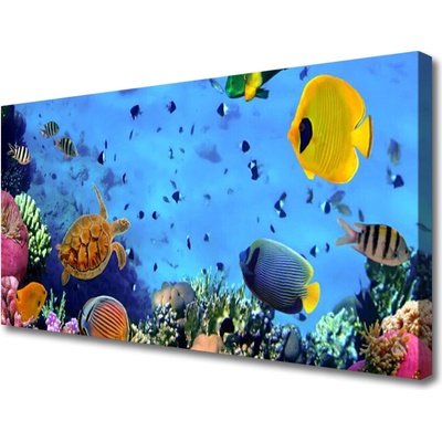 Obraz na plátně Korálový Útes Ryba Příroda 100x50 cm