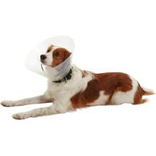Buster Límec ochranný plast CLIC Collar 15 cm 1 ks