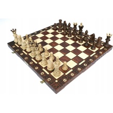Velvyslanec Wegiel Chess