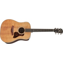 Taylor Gold Label 710e