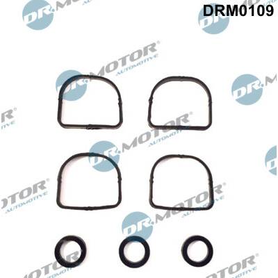 DR.MOTOR AUTOMOTIVE Sada tesnení kolena nasávacieho potrubia DRM0109