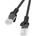 Lanberg patch cord CAT. 6 0.25m, black (PCU6-10CC-0025-BK)