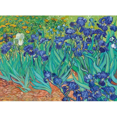 BlueBird Vincent Van Gogh Kosatce 3000 dílků