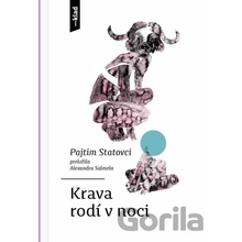 Krava rodí v noci
