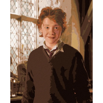 ZUTY Malování podle čísel RON V UČEBNĚ HARRY POTTER