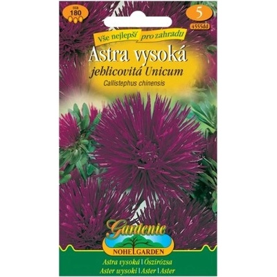 Nohel Garden Astra vysoká ihlicovitá UNICUM, fialová