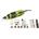 FIELDMANN FDMB 200160-E