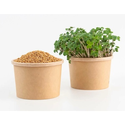 Tiny Greens Bílá hořčice Frosty BIO semínka na klíčení a 50 g
