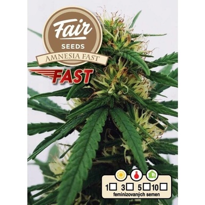 Fair Seeds Amnesia Fast semena neobsahují THC 10 ks