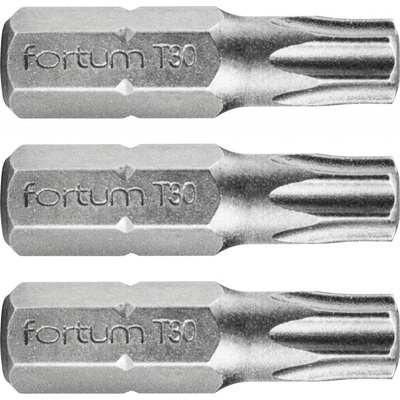 Bit Torx TX30 x 25 mm 3 ks