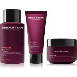 Sebastian Professional Penetraitt Bundle комплект за увредена и химически третирана коса