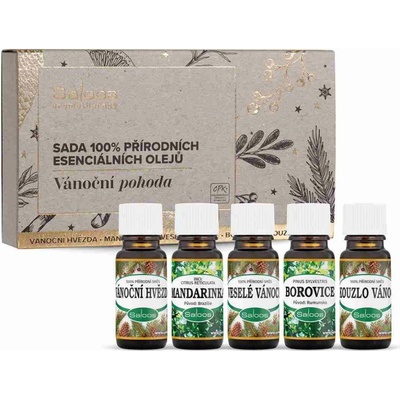 Saloos Vianočná pohoda sada 100% prírodných éterických olejov 5 x 10 ml