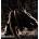 Behemoth - Behemoth - Satanica Vinyl