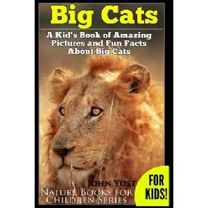 Big Cats! A Kid's Book of Amazing Pictures and Fun Facts About Big Cats: Lions Tigers and Leopards | John Yost (ISBN: 9781495202506)