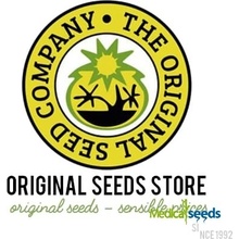 Original Sensible Seeds Auto Super Skunk semena neobsahují THC 5 ks