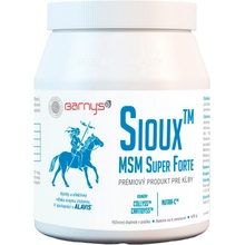 Barny's Sioux MSM Super Forte 600 g