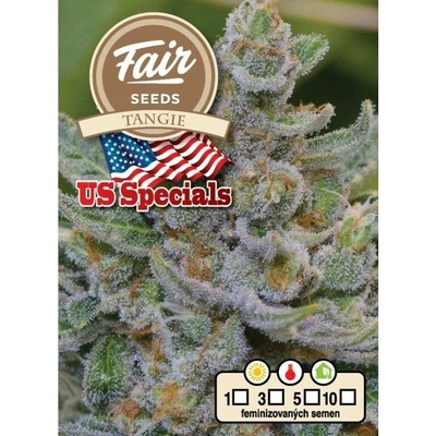 Fair Seeds Tangie semena neobsahují THC 10 ks