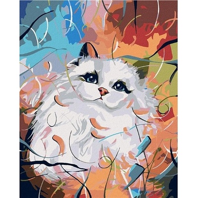 zuty Malování podle čísel Bílá kočička a barevné pozadí 40 x 50 cm bez rámu a bez vypnutí plátna
