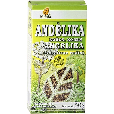 MILOTA Angelika lekárska koreň 50 g