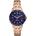 Fossil ES4767