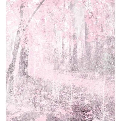 DIMEX MS-3-0364 vliesová fototapeta rozměry 225 x 250 cm