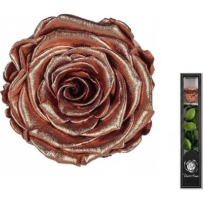 Four Seasons Quality B.V Darčeková stabilizovaná ruža MINI - METALLIC - medená