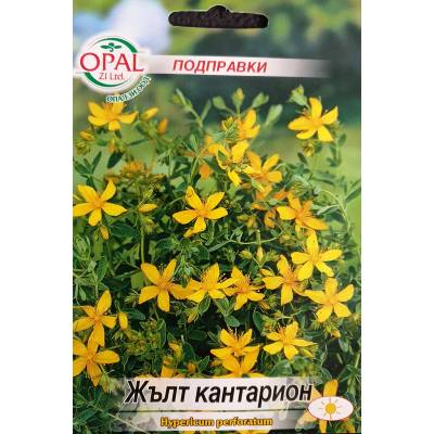 Opal Zi Жълт Кантарион - Hypericum perforatum