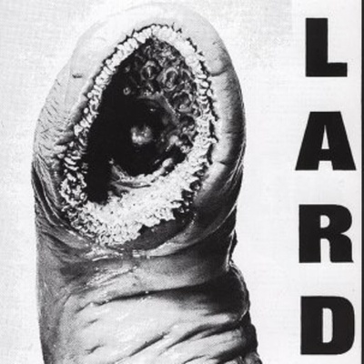 Lard - Power Of Lard (Reissue) (White Coloured) (12" EP) (0721616007237)
