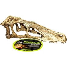 Komodo Lebka raptor L 24x8x9 cm
