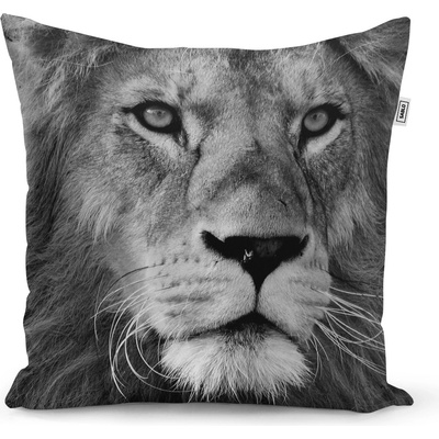 Sablio vankúš Lev 2 50x50