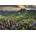 Dino - Puzzle Súľovské skaly - 500 piese