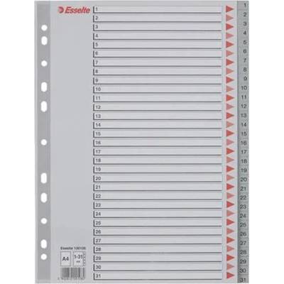 ESSELTE Register, plastový, A4, 1-31, ESSELTE, sivý