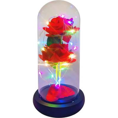26111 DR Věčná růže - RGB single - červená
