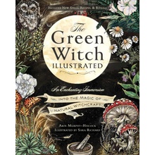 The Green Witch Illustrated