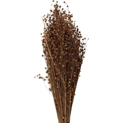 Béžová kytice sušený len - 60 cm (100 gr) - Clayre & Eef