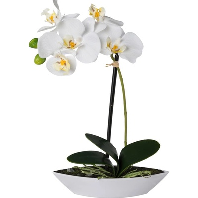 Gasper Umělá orchidej v oválné misce, 30 cm, bílá